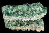 Fluorite Crystal Cluster - Rogerley Mine, UK #99458-2